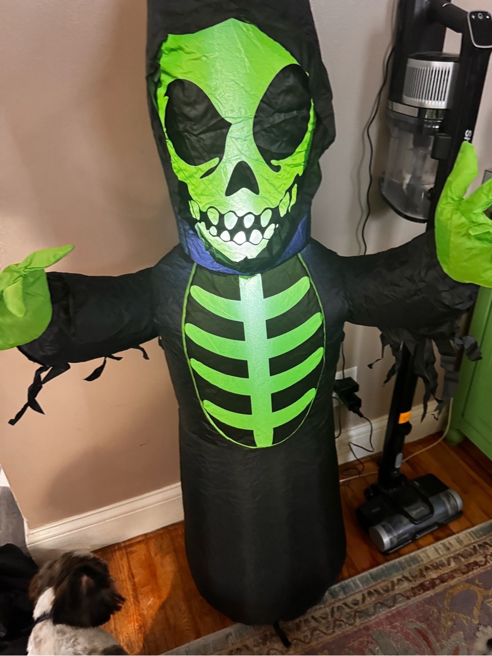 New opened box 4 ft inflatable skeleton goblin